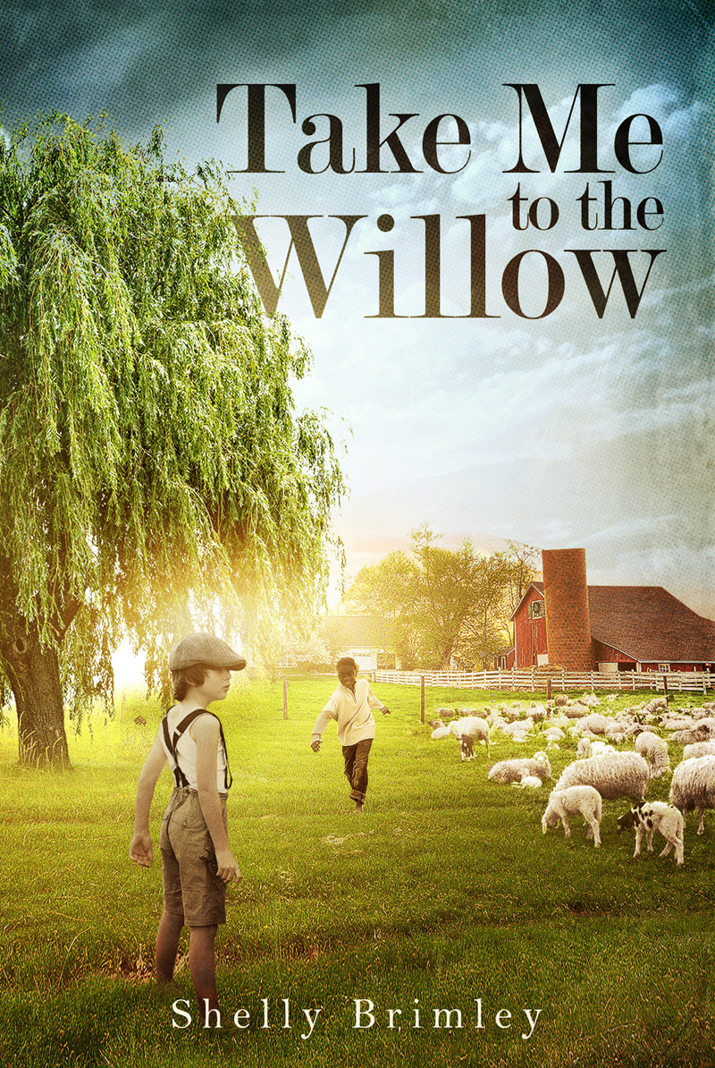 Take Me to the Willow…by Shelly Brimley-Blog Tour Review